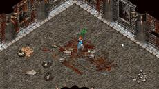 �ڴ������������õ��Լ�